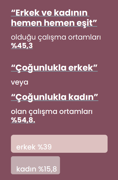 ilo_arastirma_raporu_uzerine_gorsel_4